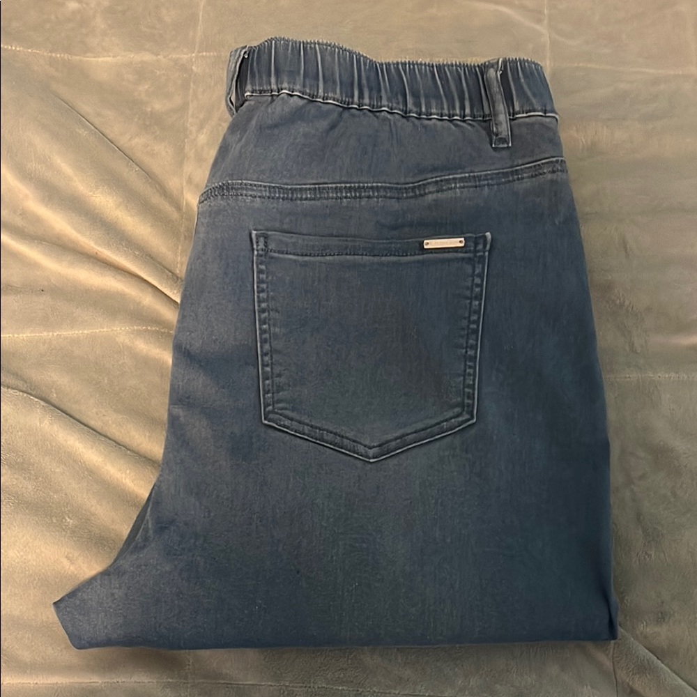 G by Guiliana Stretch Denim Straight Leg Jean Size 18W